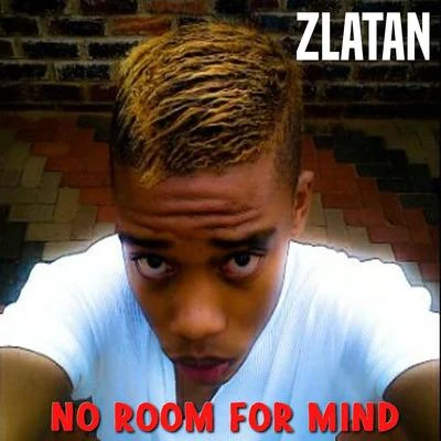 No Room for Mind 专辑 HDMI/Zlatan