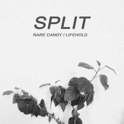 Split 專輯 Rare Candy