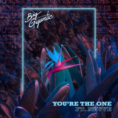 You’re The One 专辑 Big Gigantic