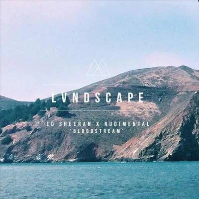 Bloodstream (LVNDSCAPE Bootleg) 專輯 LVNDSCAPE/Yves Larock/Jaba