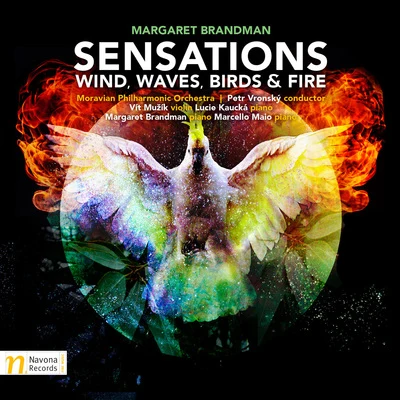 Sensations: Wind, Waves, Birds & Fire 專輯 Petr Vronsky/Václav Jirácek/Petr Kofroň/Lukáš Vasilek/Libor Pešek