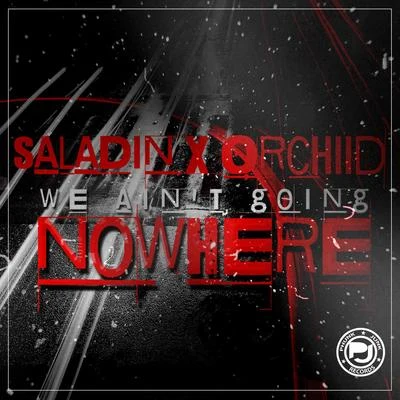 We Ain&#x27;t Going Nowhere 专辑 Saladin