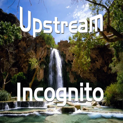 Upstream (A1) 專輯 Stuart Zender/INCOGNITO