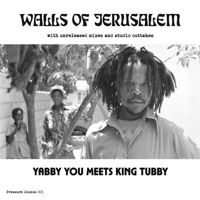 The Walls Of Jerusalem 专辑 Scientist/King Tubby/The Roots Radics