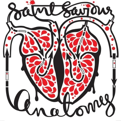 Anatomy 專輯 Saint Saviour