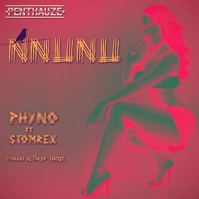 Nnunu 專輯 Phyno