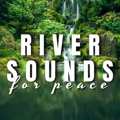 River Sounds for Peace 专辑 Ocean Waves for Sleep