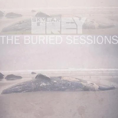 The Buried Sessions of Skylar Grey 專輯 Skylar Grey/Bryan Adams/Zoom Karaoke/Ivory Joe Hunter/Marvin Gaye