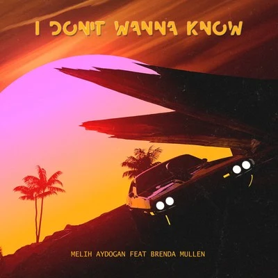 I Don't Wanna Know 專輯 Melih Aydogan/Ilkay Sencan