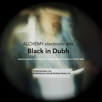 Black in Dubh remixed 专辑 Black/Hanm/Silent Shadow/BlunT/Marten Hørger