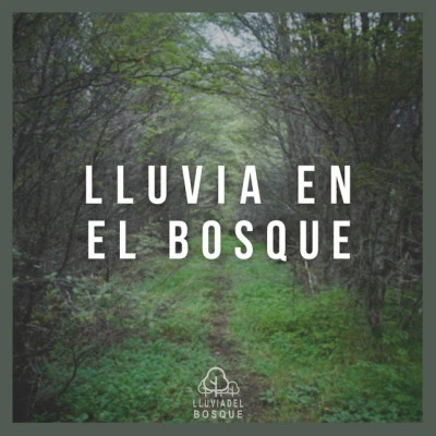 Lluvia en el Bosque 專輯 Lluvia del Bosque/Piano para Dormir/Música Relajante para Perros