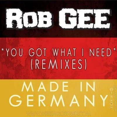 You Got What I Need (Remixes) [Made in Germany] 專輯 Rob Gee