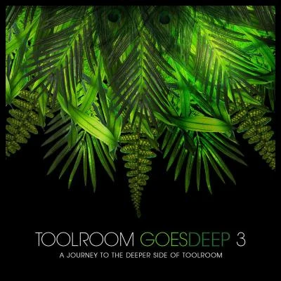 Toolroom Goes Deep 3 專輯 Turntable Orchestra