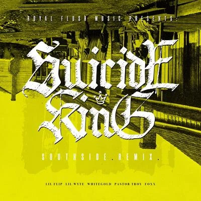 Southside (Remix) 專輯 Pastor Troy/Orbital/N.E.R.D./Lil Wayne/Moby