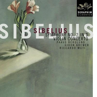 Sibelius: Violin Concerto; Symphony No. 2 專輯 Bournemouth Symphony Orchestra