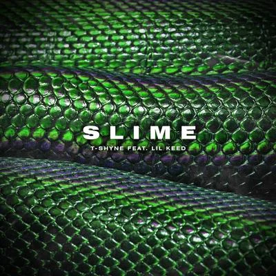 Slime 專輯 T-Shyne