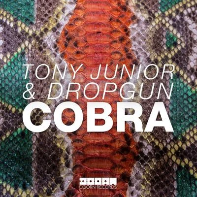 Cobra 專輯 Tony Junior