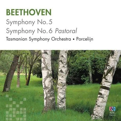 Beethoven: Symphonies Nos 5 & 6 专辑 David Porcelijn