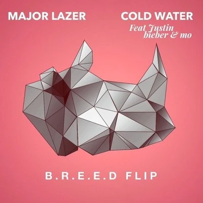 Cold Water (B.R.E.E.D Flip) 專輯 B.R.E.A.D