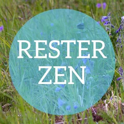 Rester Zen 專輯 Frederic Chopin