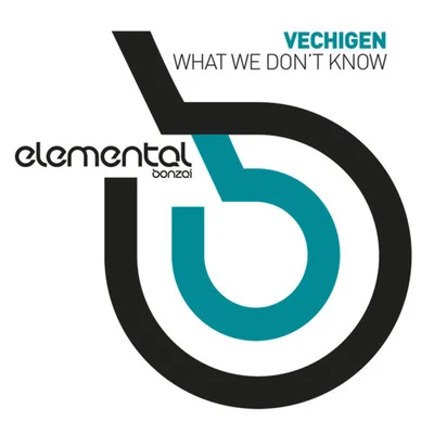 What We Don&#x27;t Know 专辑 Vechigen