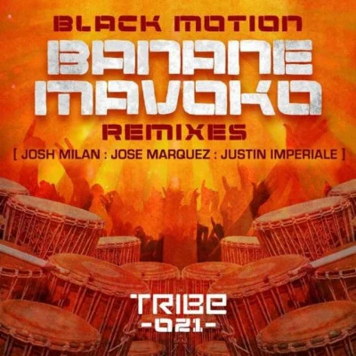 Banane Mavoko (feat. Jah Rich) 專輯 Black Motion