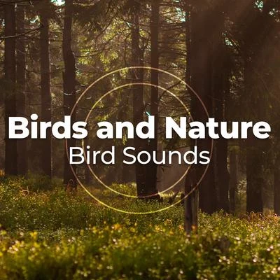 Birds and Nature 专辑 Bird Song Group/Bird Sounds