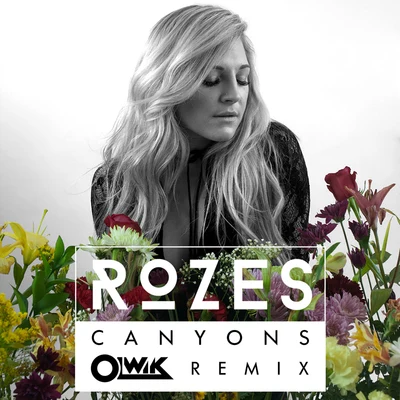 ROZESYves VSam Feldt Canyons (OLWIK Remix)