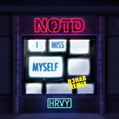 NOTDNina Nesbitt I Miss Myself (R3HAB Remix)