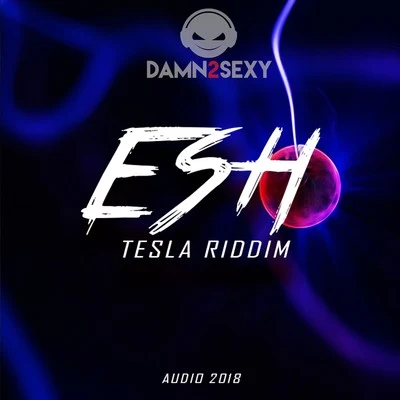 Tesla Riddim 專輯 Corrupt/ESH