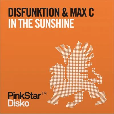 In the Sunshine 专辑 Disfunktion