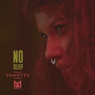 No Sleep 專輯 Vanotek