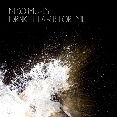 I Drink the Air Before Me 专辑 Nico Muhly