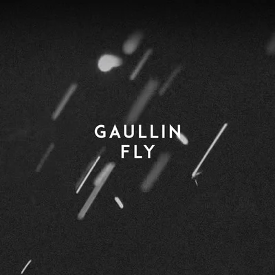 GaullinZHIKODwin Fly