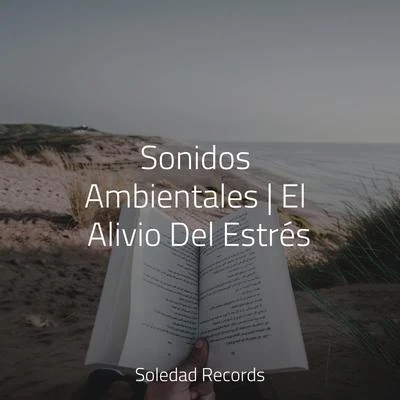 Sonidos Ambientales | El Alivio Del Estrés 專輯 Sons da natureza HD/Canciones Infantiles Para Niños/Lluvia PQ