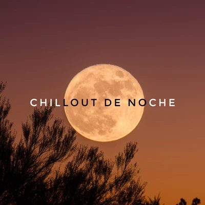 Chillout de Noche - Música para la Relajación, el Descanso, la Tranquilidad y el Alivio del Estrés 專輯 Academia de Música para la Fiesta en la Playa