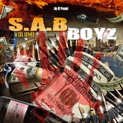 SAB Boyz Vol. 2 專輯 Big stuff/Contraband/Tiny DC/Cals/Phat Mac