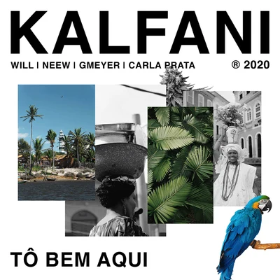 TÔ BEM AQUI (feat. Neew, GMeyer, Carla Prata & DJ Will) 專輯 DJ Kalfani