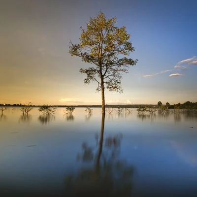 Música de Terapia de Masaje | Música Relajante 專輯 Musica Para Dormir Bebes/Ambiente/Lluvia PQ