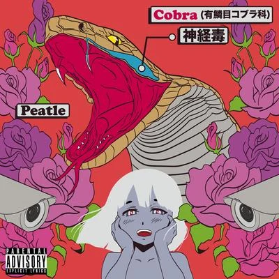 COBRA 专辑 PEATLE/YoungQueenz