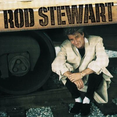 Rod Stewart Every Beat of My Heart (Expanded Edition) 專輯 Rod Stewart/Phil Collins/The Cranberries/Chris Isaak/Bryan Adams