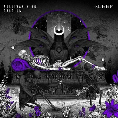 Sullivan KingRay Volpe Sleep (with Calcium)