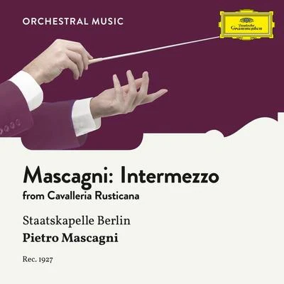 Mascagni: Cavalleria rusticana, Intermezzo sinfonico 专辑 Fritz Zaun/Staatskapelle Berlin/Wilhelm Backhaus