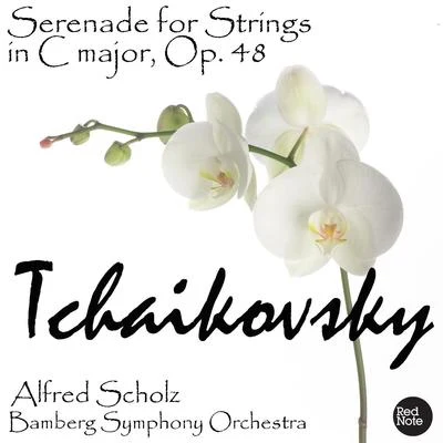 Tchaikovsky: Serenade for Strings in C major, Op. 48 专辑 Bamberg Symphony Orchestra