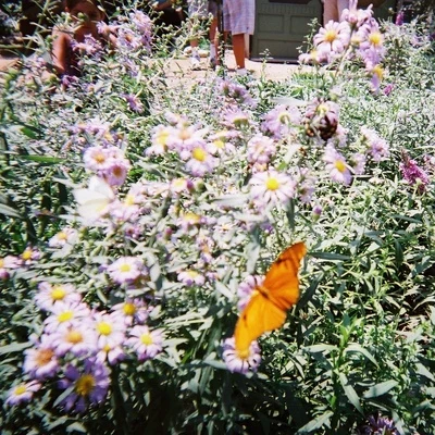 Gnash lil tokyo (disposable)