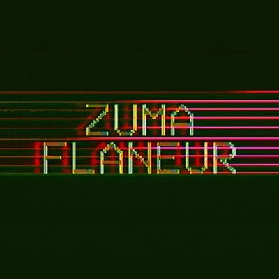 Flâneur 专辑 Tallarsetee/Rams De Violinist/Killer Kau/Zuma/Josiah De Disciple