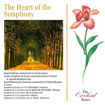 The Heart Of The Symphony 專輯 Yehudi Menuhin/RPO/Moura Lympany/Vernon Handley/Berliner Philharmoniker