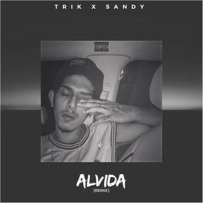 Alvida (Remix) 專輯 Sandy