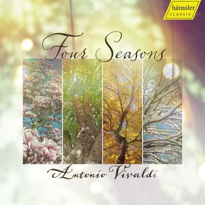 4 Seasons 專輯 Academy of St. Martin in the Fields/Sir Neville Marriner