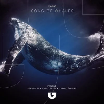 Song of Whales 专辑 KIIDA/Eddy.T/Denine/Sonic One/twoloud